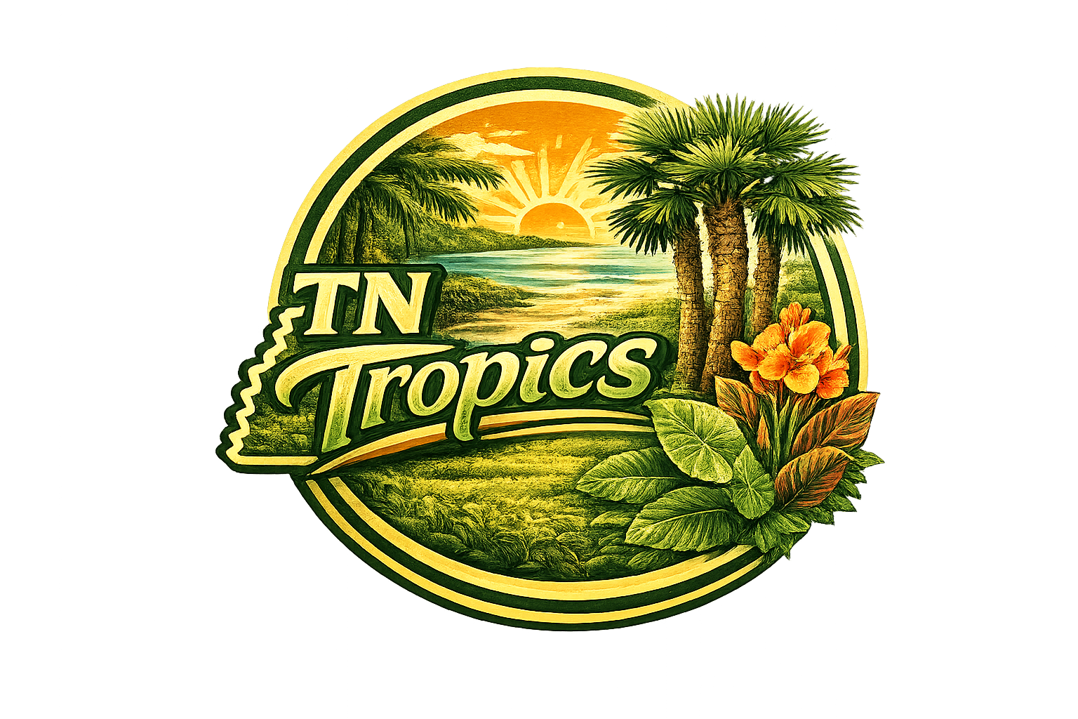 TN Tropics